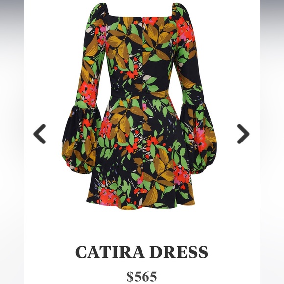 Autumn Adeigbo Catira Dress BCK Floral NWT Size 6 - Picture 6 of 12